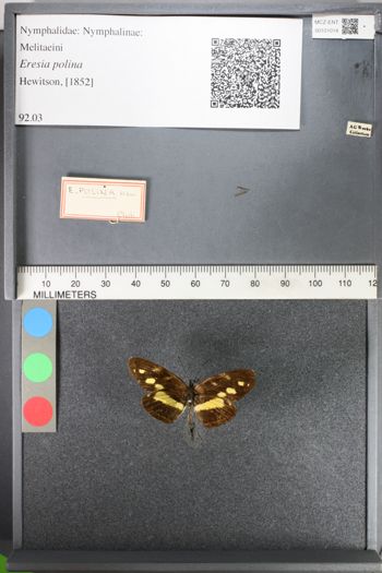 Media type: image;   Entomology 101014